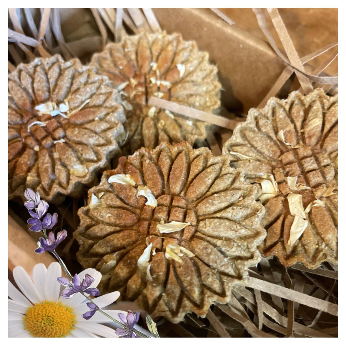 CHEWTOPIA Lavender Lullaby 💜