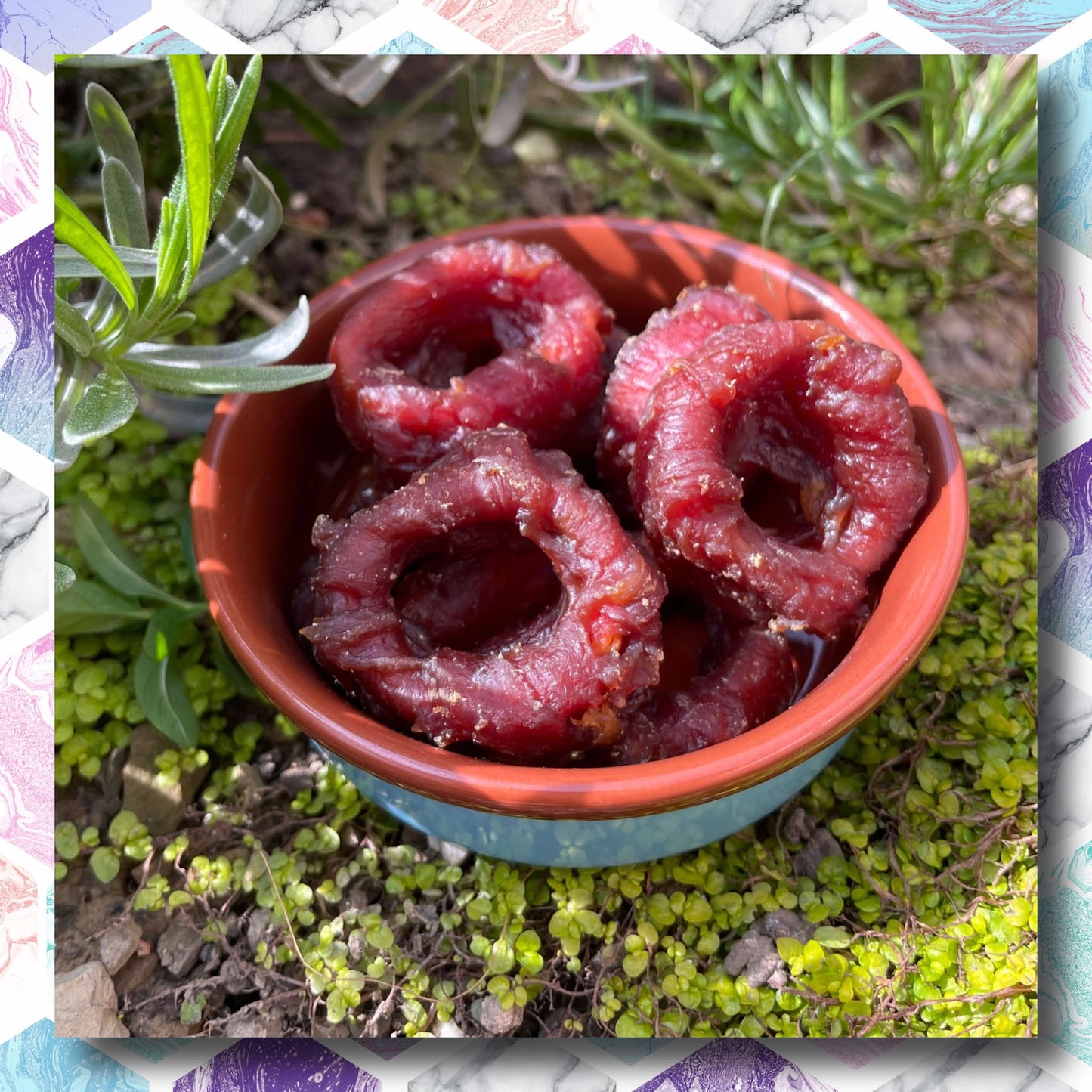 CHEWTOPIA Squid & Chicken/Duck Rings Wraps 50g