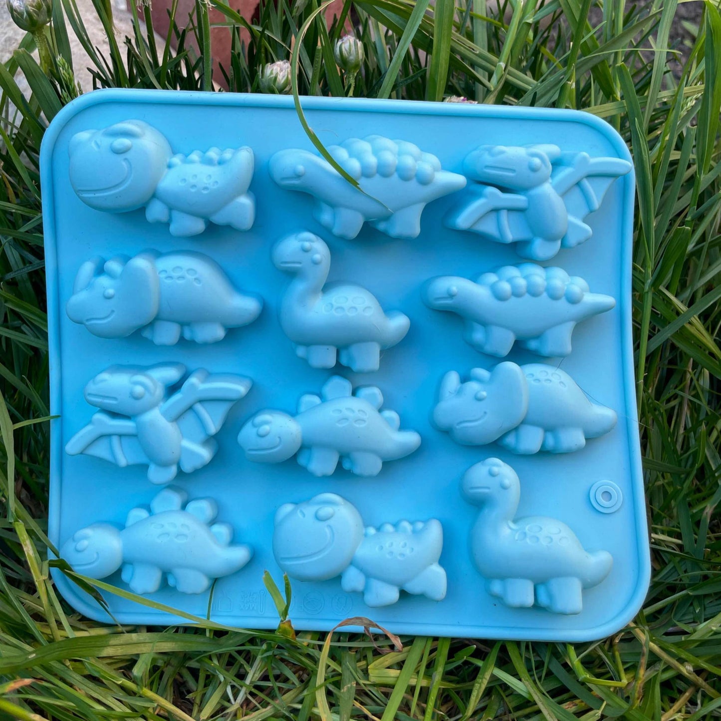CHEWTOPIA Silicone Moulds + 2 FREE droppers