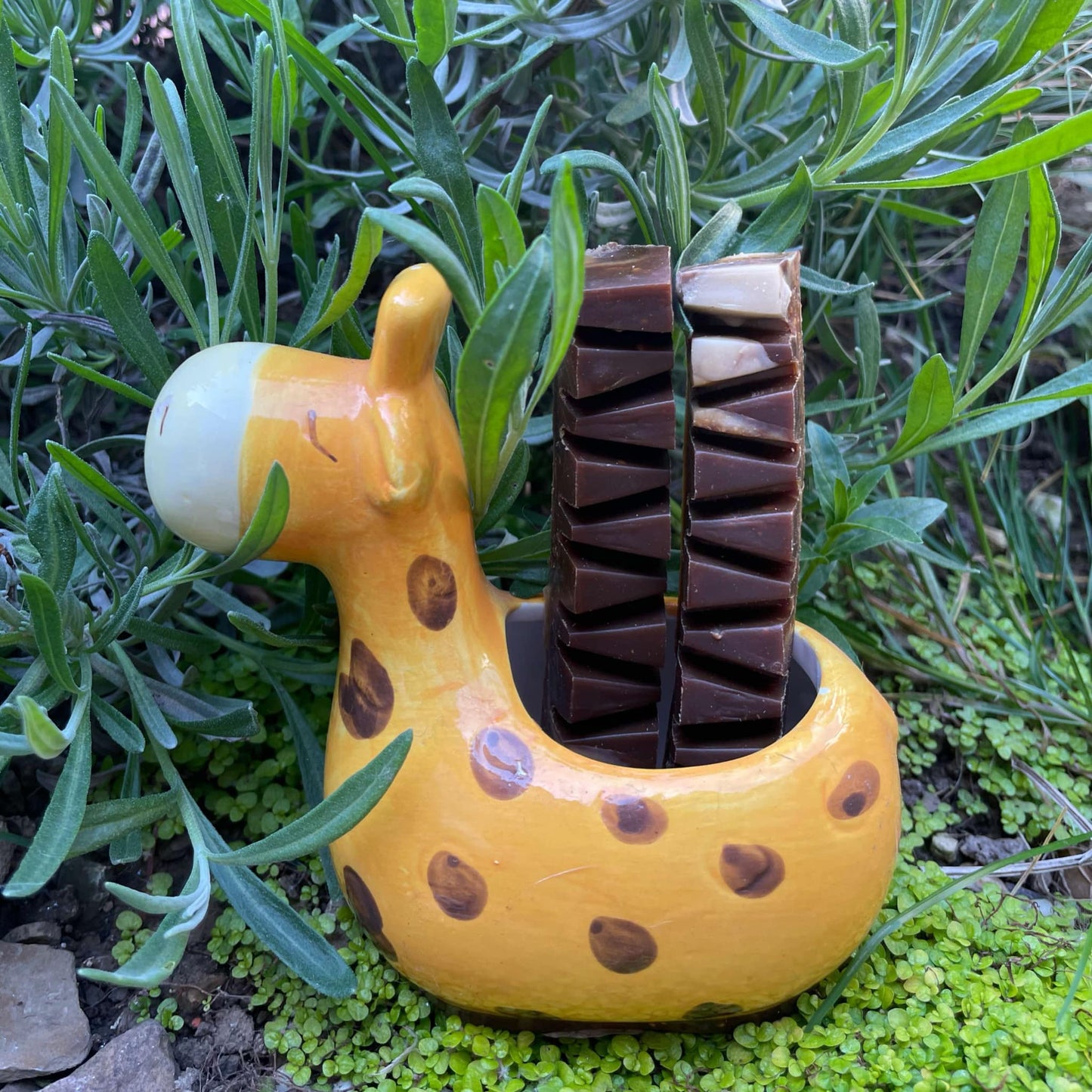 CHEWTOPIA Carob Chocolate Snaps