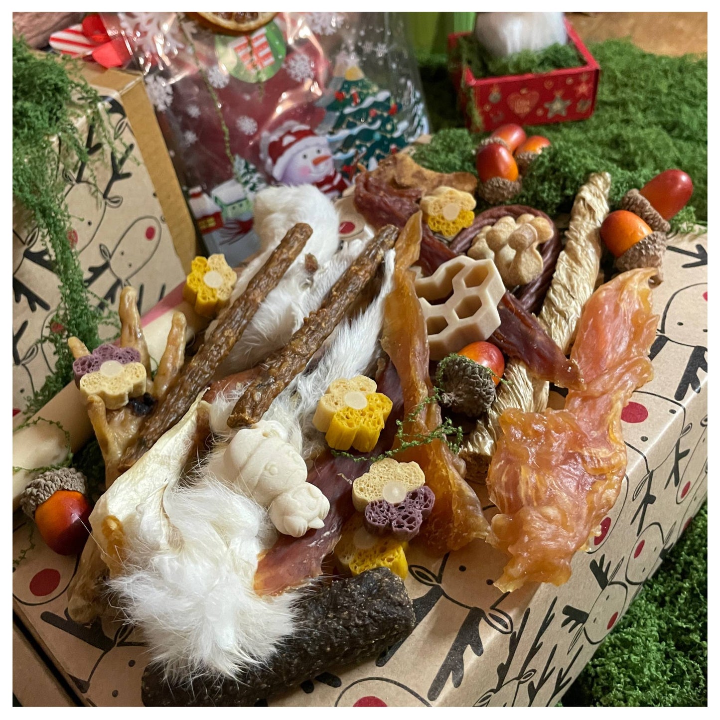 CHEWTOPIA Santa Paws Bag
