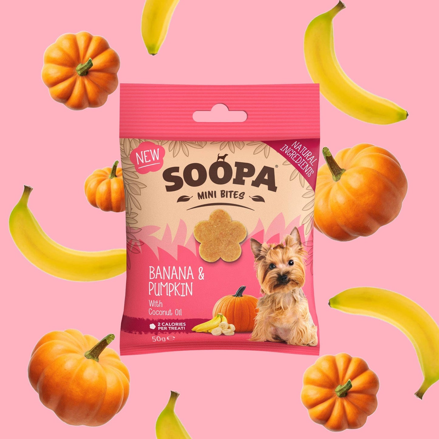 CHEWTOPIA Banana & Pumpkin MINI Bites by SOOPA