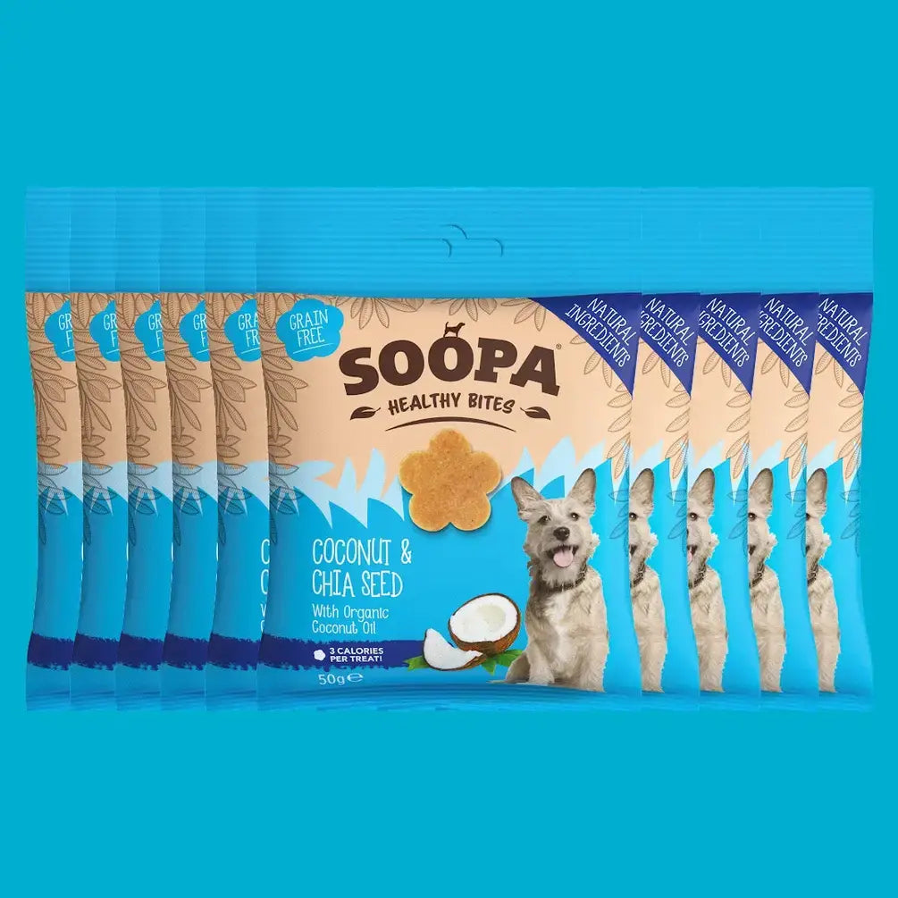 CHEWTOPIA Coconut & Chia Seed Healthy Bites by SOOPA