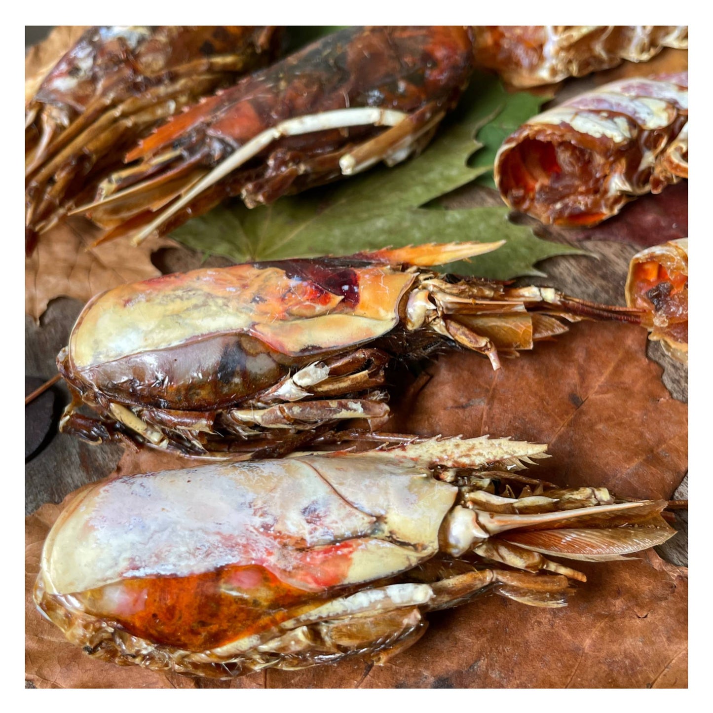 CHEWTOPI Argentinian Red Shrimps (Tails & Heads)