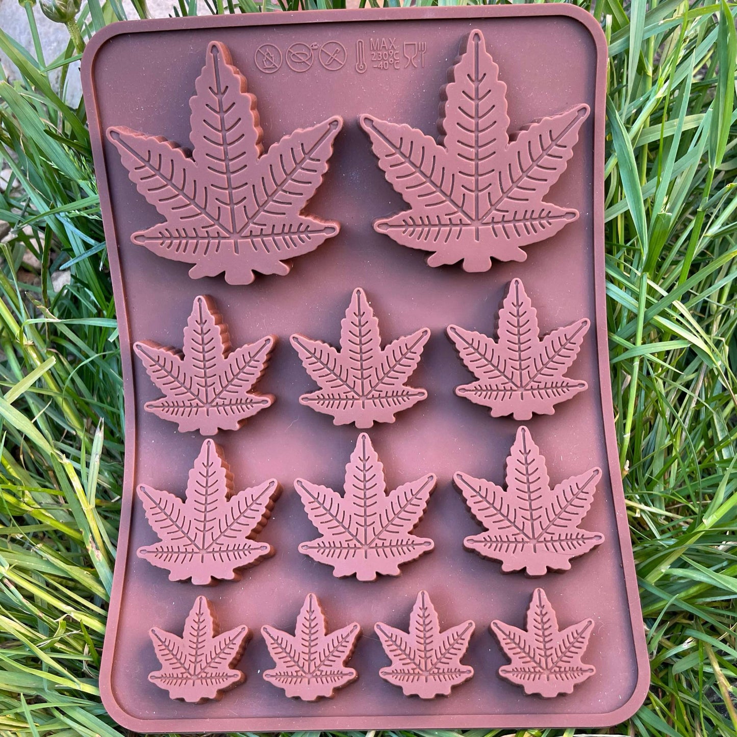 CHEWTOPIA Silicone Moulds + 2 FREE droppers