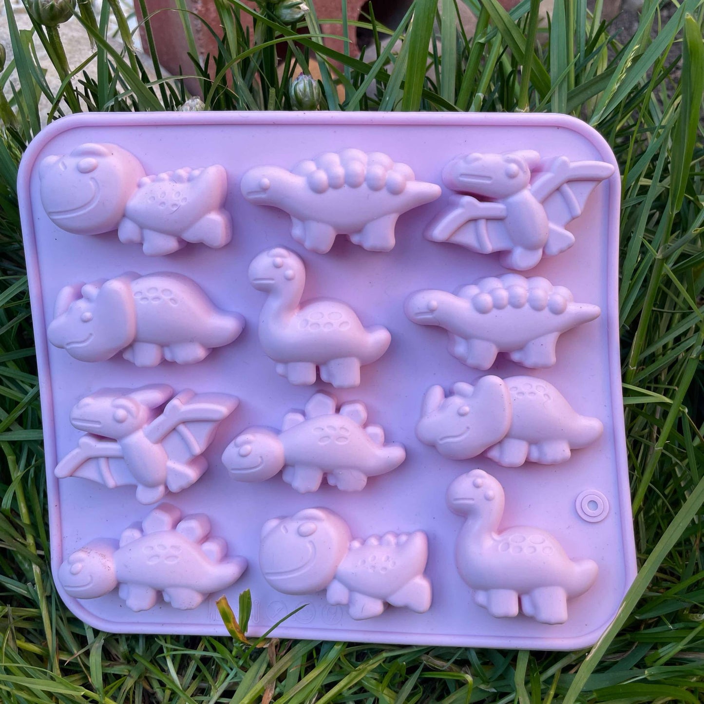 CHEWTOPIA Silicone Moulds + 2 FREE droppers