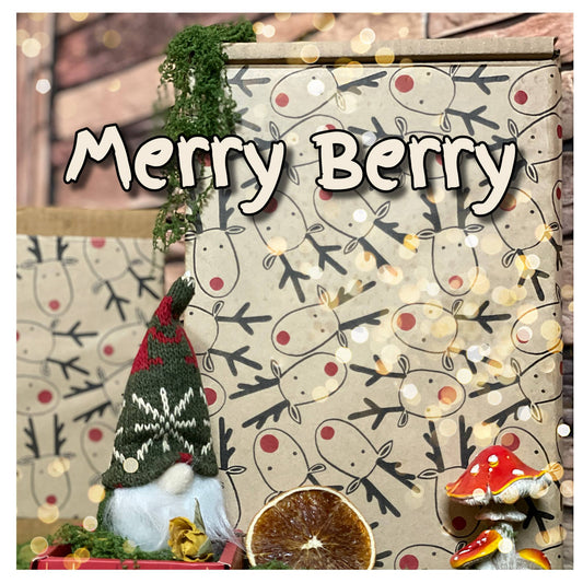 CHEWTOPIA Merry Berry Boxes