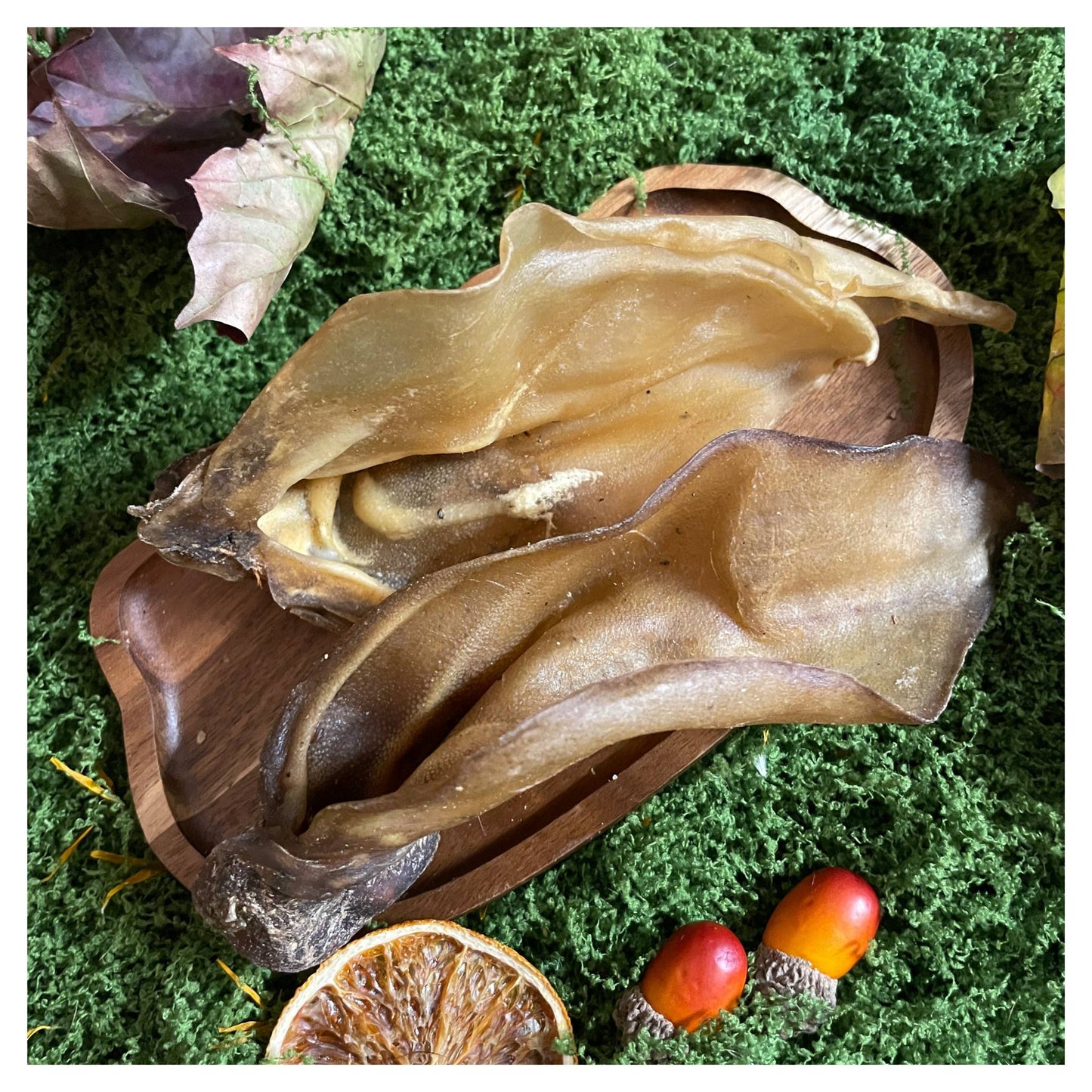 CHEWTOPIA Large Buffalo Ears