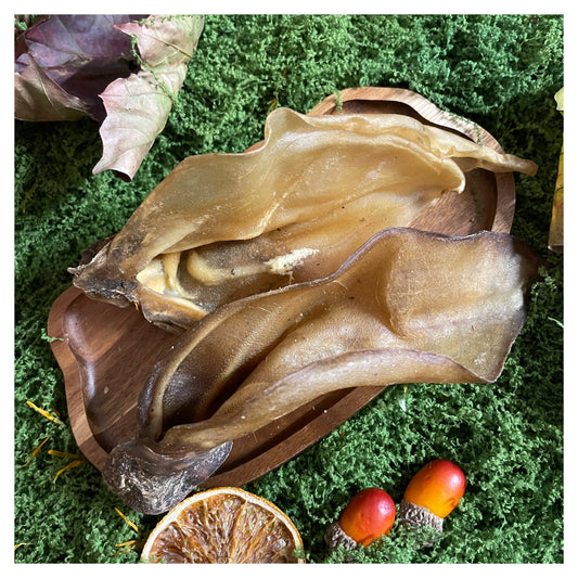 CHEWTOPIA Large Buffalo Ears