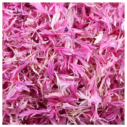 CHEWTOPIA Cornflower Petals Pink 💗