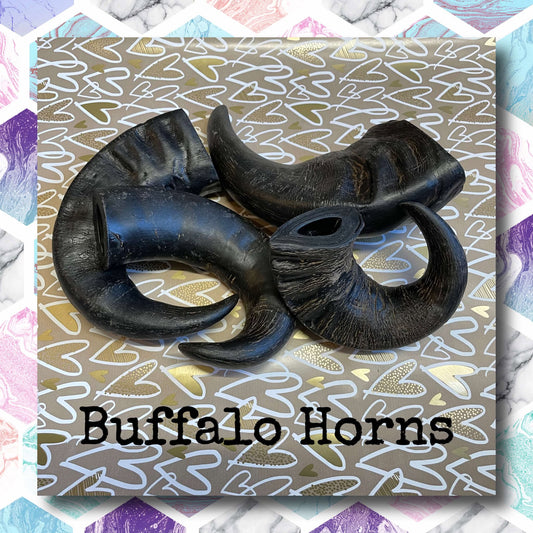 CHEWTOPIA Buffalo Horn