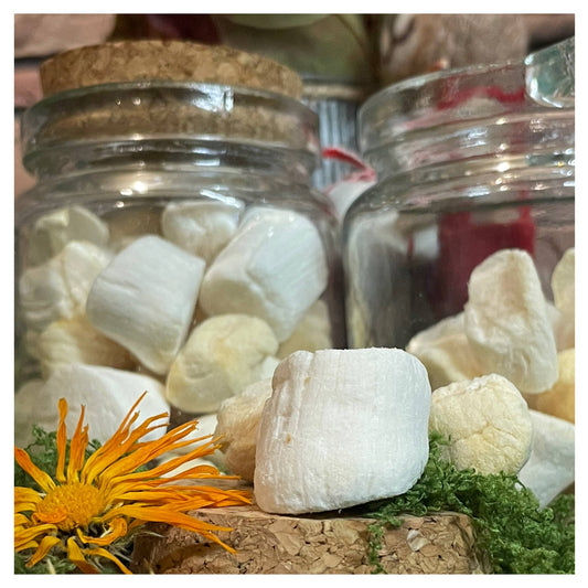 CHEWTOPIA Marshmallows Scallops