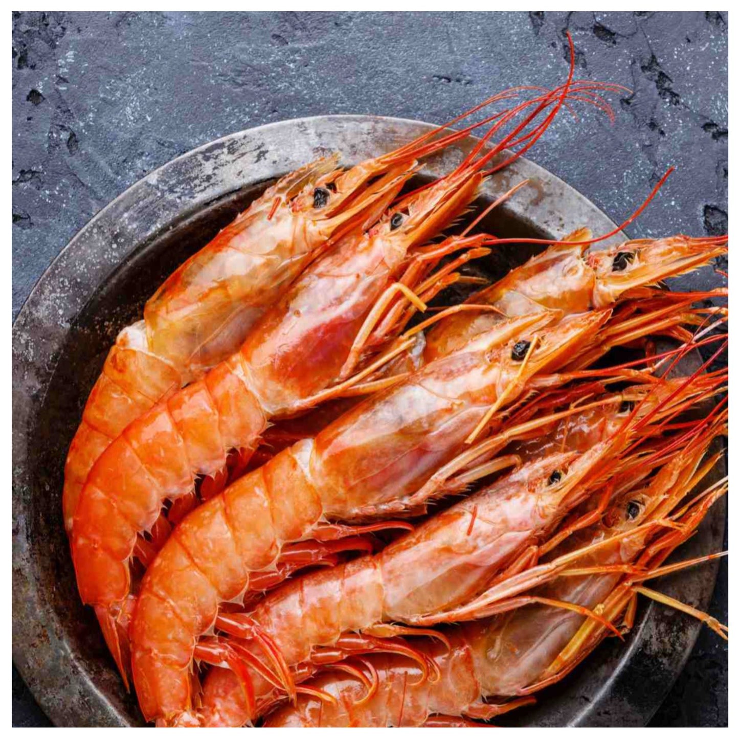 CHEWTOPIA Argentinian Red Shrimps Powder 30g