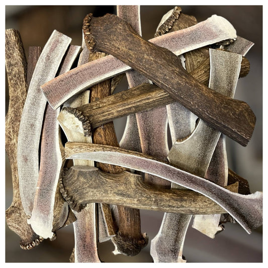 CHEWTOPIA Large Split Deer Antlers (25-32cm)