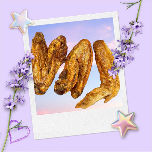 CHEWTOPIA Turkey Wings