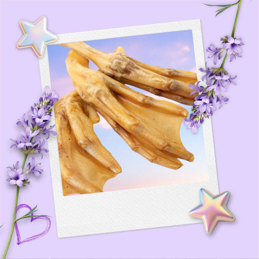 CHEWTOPIA Goose Feet