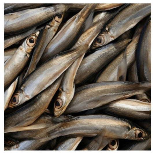 CHEWTOPIA Whole Anchovies Powder 30g