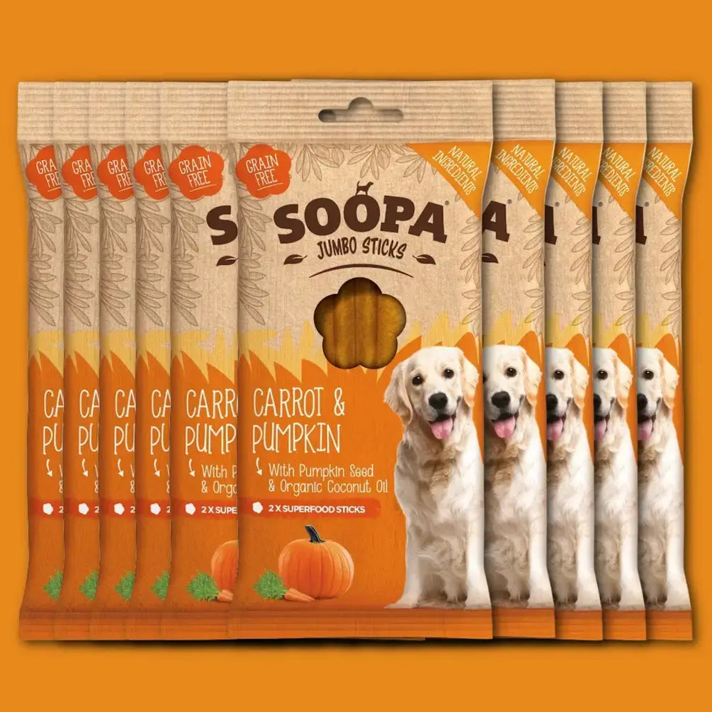 CHEWTOPIA Carrot & Pumpkin Jumbo Dental Sticks by SOOPA