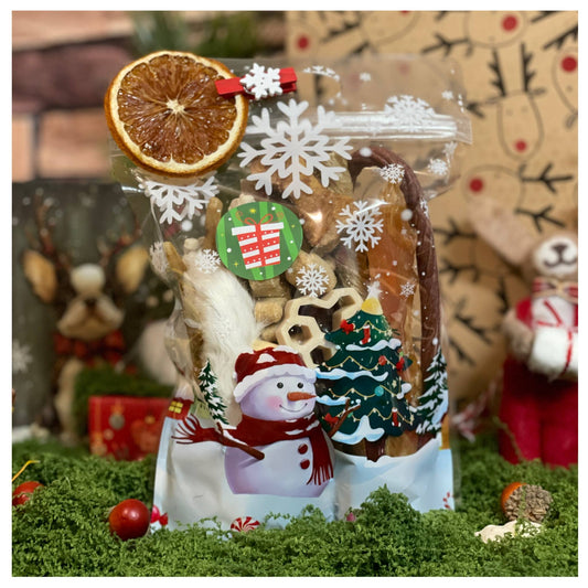 CHEWTOPIA Santa Paws Bag