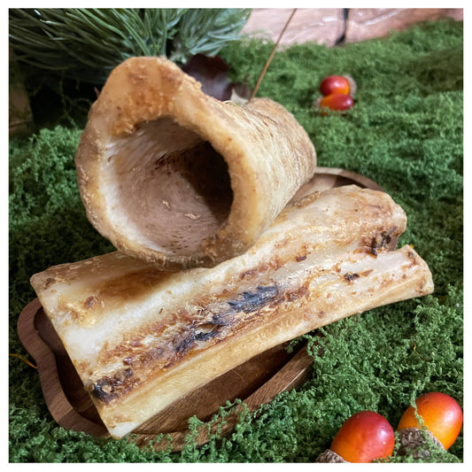 CHEWTOPIA British Beef Bone