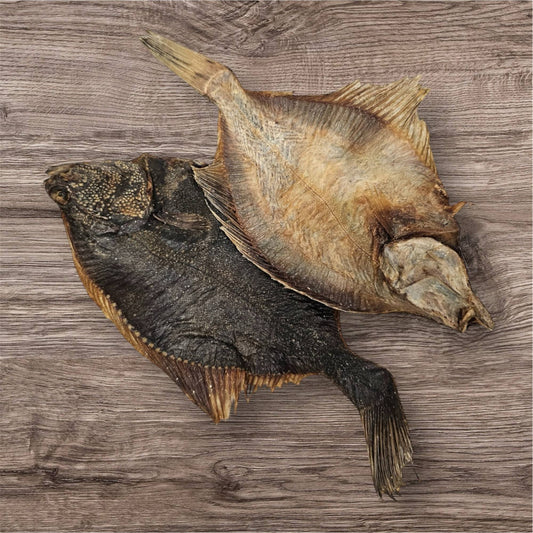 CHEWTOPIA Flounder Fish