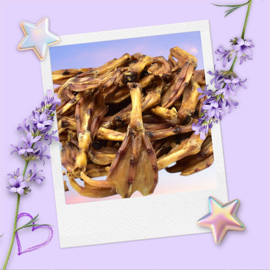 CHEWTOPIA Duck Feet