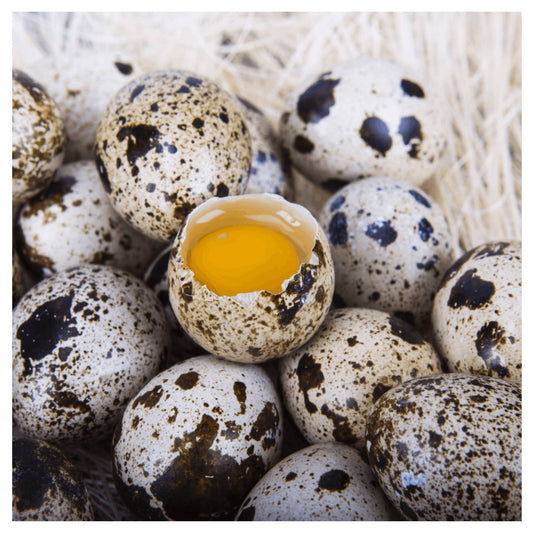 CHEWTOPIA Whole Quail Eggs Powder 50g