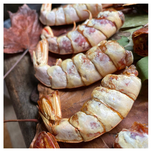 CHEWTOPI Argentinian Red Shrimps (Tails & Heads)