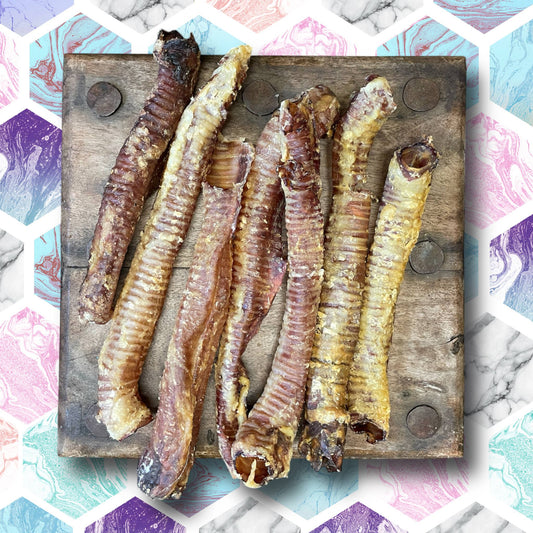 CHEWTOPIA Lamb Trachea