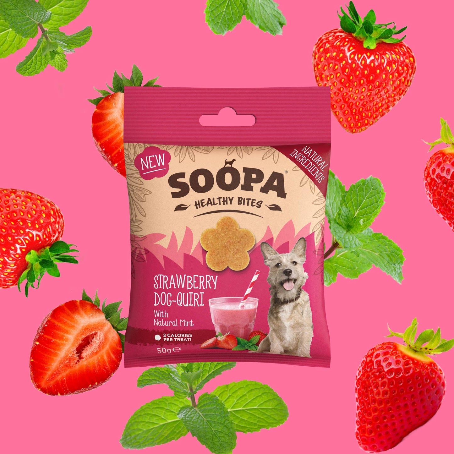 CHEWTOPIA Strawberry Dog-Quiri Healthy Bites by SOOPA