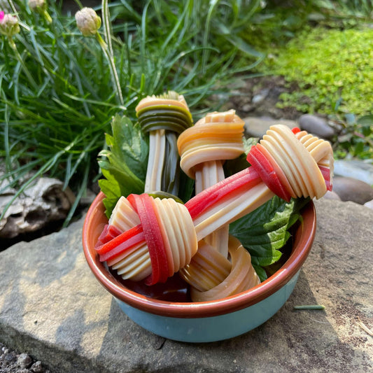 CHEWTOPIA Veggie~Knots (Meat Free Chews)