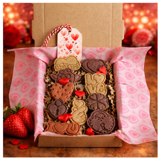 CHEWTOPIA Love Letter 💌 10 Valentine Cookies Box 💌